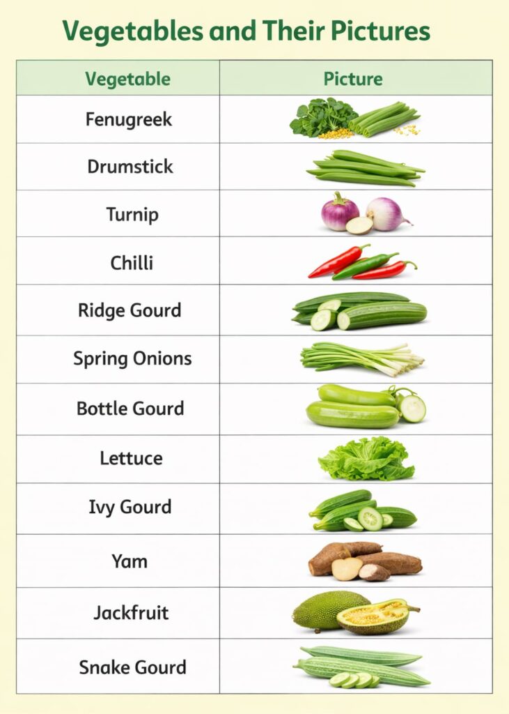 vegetables name and their pictures 2